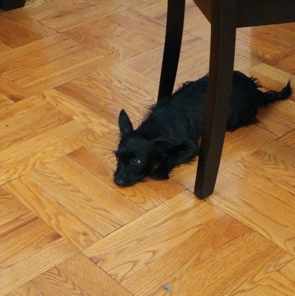 Meet your Posher, Alaina